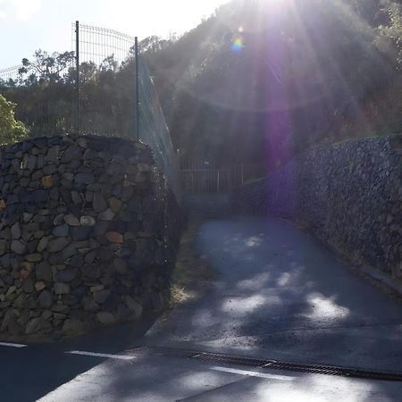 Complejo Rural Pajar De Bento Daire Agulo Dış mekan fotoğraf